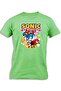 SONIC CHARACTERS