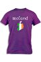 IRELAND MAP FLAG