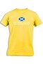 SCOTLAND WITH FLAG