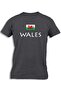 WALES WITH FLAG