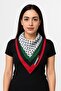علم فلسطين 100/100 سانتا - 2