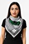 علم فلسطين 100/100 سانتا - 2