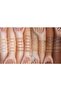 Faux Filter Full Coverage Matte Illuminating Liquid Foundation 210B CHAI-20g - 2
