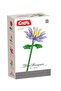 Mini Block Chrysanthemum - Flower Arrangement