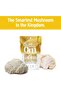 LIONS MANE ORGANIC MUSHROOM POWDER 100G - 2