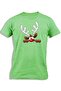 REINDEER PICKING