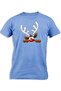 REINDEER PICKING