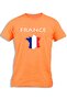 FRANCE MAP FLAG