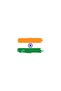 INDIAN FLAG PAINTED - 3