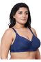 Women Full Coverage Plus Size Padded Everyday Bra, Size 40B-44B - 3