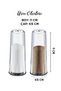 6-Piece Mica Crystal Salt and Pepper Spice Presentation Set Is Not Glass. - 2