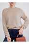 Women's Clothing for Autumn and Winter, Crew Neck Plush, Comfortable Long Sleeves, Sweatshirt - 2