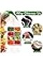Food Storage Containers Lids comprtment Fridge Orgnizers Colnder Fruits & Vegetbles - 2