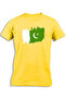 PAKISTAN PAINTED FLAG