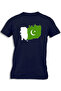 PAKISTAN PAINTED FLAG