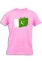 PAKISTAN PAINTED FLAG