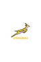 SPRINGBOKS - 3