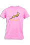 SPRINGBOKS