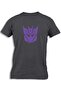 DECEPTICONS TRANSFORMERS