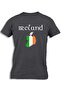 IRELAND MAP FLAG