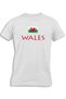WALES WITH FLAG