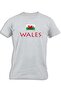 WALES WITH FLAG