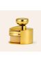 Gold Chamber Detail Brush – Soft Bristled Wheel, Tire, and Interior Detail Cleaning Brush - 4