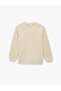Cotton Long Sleeve Crew Neck Basic Sweatshirt