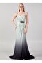 Sleeveless Mermaid degrade Evening Dress - 5