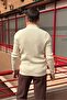 Men'S, Stand-Up Collar, Zipper, Flexible Structure, Fitted Look Sweater, Cardigan Pltk14 - 6