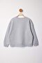 Gri Melanj Penguen Nakışlı Regular Fit İçi Polarlı Büyük Beden Sweatshirt TBBAW26AO00006 - 7