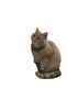 Catnip Cat & Dog Teeth Scratching Toy & Pet Stress and Biting Toy - 6