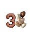 Istoch Brown Color Number and 5-Piece Daisy Foil Balloon Set Age 3
