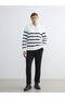 Lcw Vision Polo Neck Long Sleeve Striped Men's Sweatshirt - 2