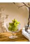 Footed Glass Bowl 11 cm (W5)