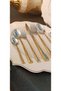 Milano 72 Piece Simple Gold Cutlery Set (with Carton Box) - 2