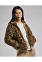Animal Patterned Jacket with Zipper Closure