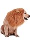 Starthi Lion Mane Wig for Dogs and Cats - Brown Costume for Large Pet