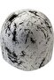 Print 2 Swimming Cap 1E368274 - 5