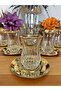 ECHO GOLD GILDED (REAL) GOLD METAL PLATE 12 PIECE 6-PERSON TEA SET TEA SERVICE GLASS - 5