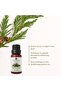 زيت الأرز العطري 10 مل - 2