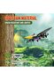 RC Aeroplane 2.4GHz Remote Controlled Dinosaur Plane with Night Light (Red) - 6