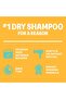 Dry Shampoo, Blush, 200 ml - 7