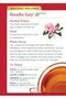 Breathe Easy 16 Tea Bags, 0.85 Ounce - 2