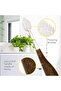 Toothbrush Source Floss Brush, Soft (Wood) - 2