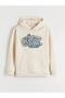 Hooded Printed Boys' Sweatshirt - 4