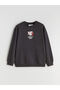 Lcw Kids Anthracite Crew Neck Pokemon Printed Boys' Sweatshirt - 2