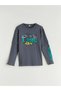 Lcw Kids Gray Crew Neck Boy T-Shirt
