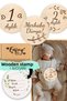 12 Month Wooden Plaque Set Baby Monthly Photo Cards Baby Gift Souvenir Card