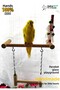 Paraket Wooden Suction Cup Glass Playground Handmade Ts013 - 2